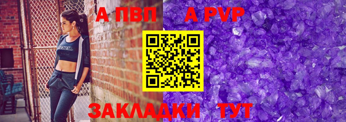 Альфа ПВП крисы CK Великий Новгород