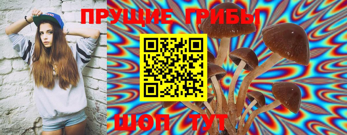 Псилоцибиновые грибы Cubensis  Вход с VPN  Великий Новгород 